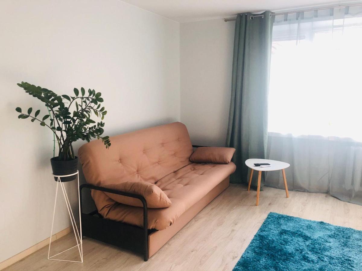 Stylish And Comfortable Apartment In The Center Черкассы Экстерьер фото